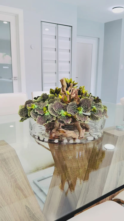 BOWL WITH ORCHIDS, MAGNOLIAS AND WOOD