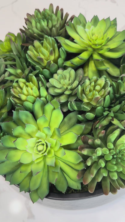 ARTIFICIAL SUCCULENT IN BLACK BOWL VASE