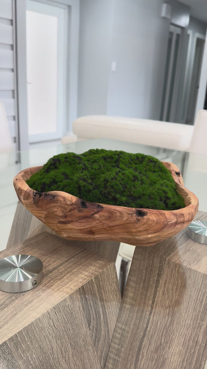 DECORATIVE MOSS ARRANGEMENT IN NATURAL WOOD BOWL